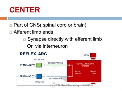 reflex physiology pptx