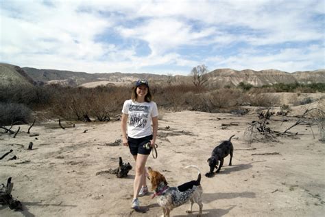 Vegas Day Trip China Ranch Date Farm YouFoundSarah