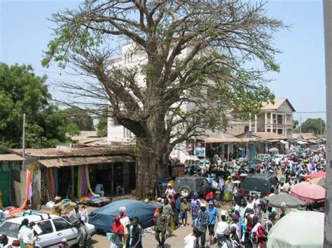 The Coolest Scammers In The Gambia Picture Of Serekunda Banjul Division Tripadvisor