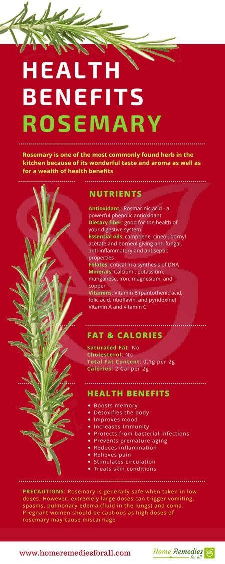 9 Health Benefits Of Rosemary