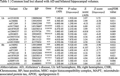 Dissecting The Shared Genetic Basis Of Alzheimers Disease And