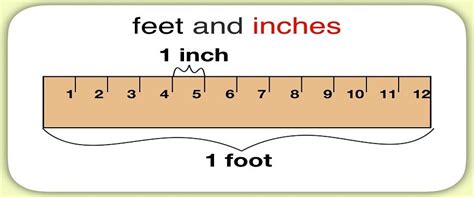 Inches To Feet Unit Conversion Calculator1 Feet To 12 Inches