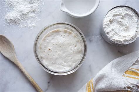 Feeding and Maintaining Your Sourdough Starter | King Arthur Baking