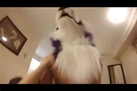 Husky Porn Videos Gay XXX 2025 XHamster