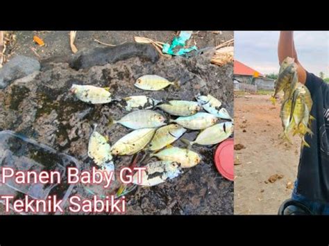 Mancing Pinggiran Strike Banyak Ikan Baby Gt Teknik Sabiki Fishing