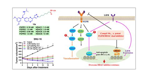 Design And Synthesis Of Fibroblast Growth Factor Receptor Fgfr And