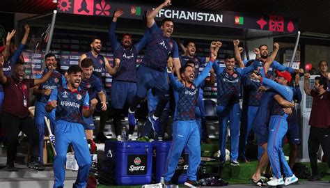 Cricket World Cup Afghanistan Captain Hashmatullah Shahidi Hails