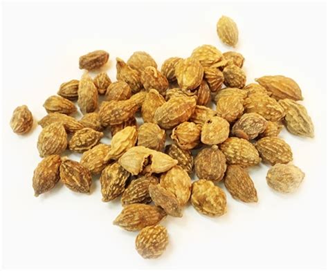 Chinese Herbal Products Bulk Herbs Yi Zhi Ren Alpiniae Oxyphyllae