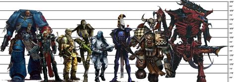 An Accurate Warhammer Height Chart Rwarhammer40k