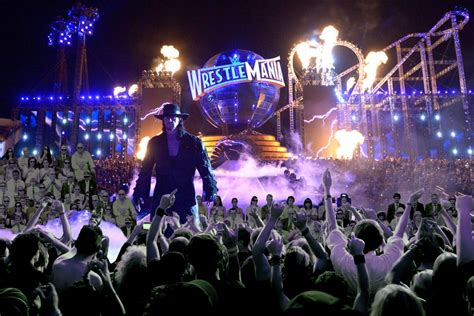 At WrestleMania 33, WWE Conjures Yet Another Record Attendance - The Shimmering Ostrich