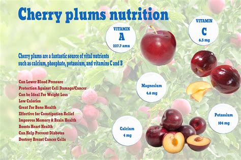 Cherry Plums Nutrition Information