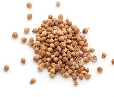 Dried Brown Badami Coriander Seeds For Cooking At Rs 74 Kg In Guna