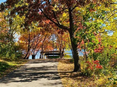 What We Do — Friends Of Earley Lake