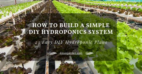 How To Build A Simple DIY Hydroponics System - 23 Easy DIY Hydroponic