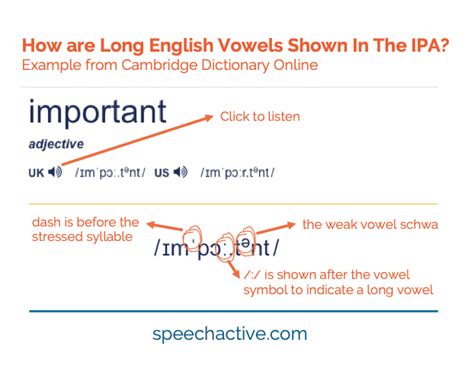 IPA English Vowel Sounds Examples - Practice & Record - Worksheets Library