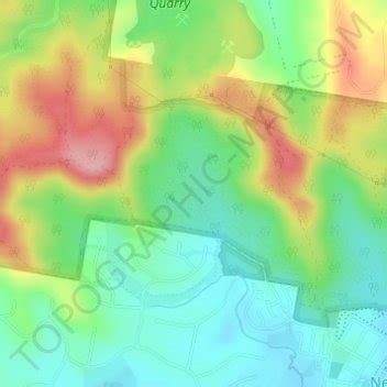 Nerang State Forest topographic map, elevation, terrain