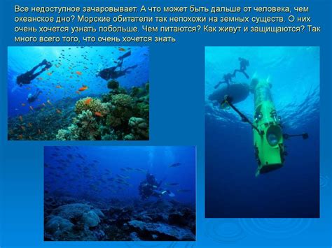 Морские обитатели - online presentation