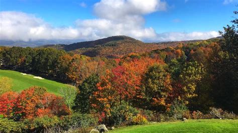 YOUR PHOTOS: Stunning fall colors across the Carolinas! | wcnc.com