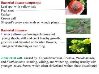 Signs and symptoms of plant disease | PPT | Free Download