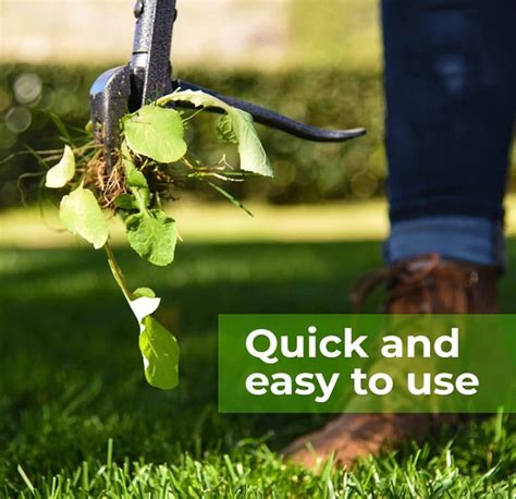 5 Best Weed Removal Tools - Lawn Care