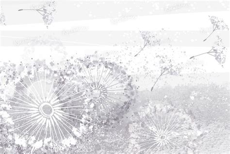 Авторские обои с акварельными одуванчиками в серых тонах | Art drawings ...