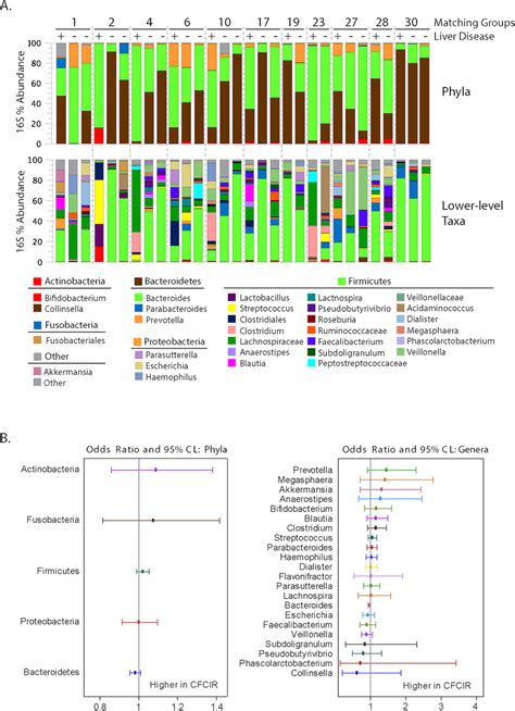 Distributions Of Bacterial Phyla And Lower Level Taxa In Patient Fecal