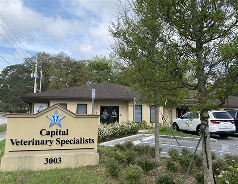 Veterinary Specialists Jacksonville Fl