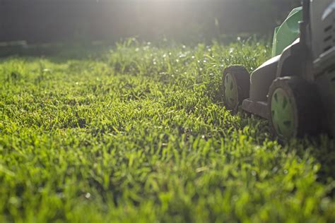 Lawn Watering 101 - Eden Garden