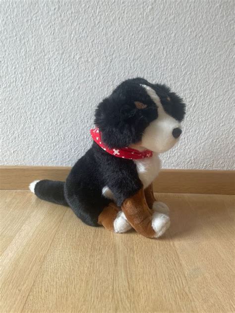 Berner Sennenhund Welpe Als Pl Schtier Kaufen Auf Ricardo