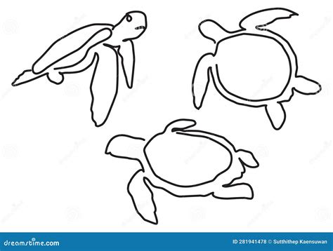 Graphic Sea Turtle Illustration Of Sea Turtle Of Turtle Design