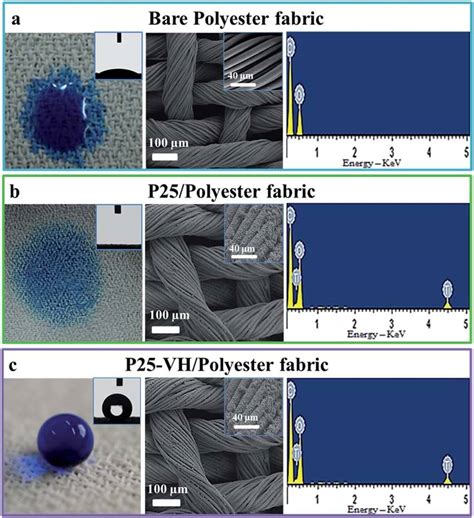 Digital Photographs Sem Images Ca And Edx Measurements Of Different