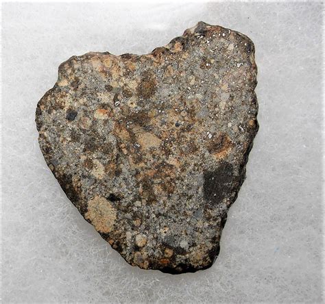 Meteorite Chondrite 583 Gram Nwa 869 Slice