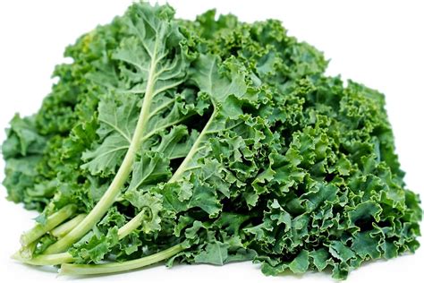 kale salad  broccoli apple  orange dressing healthyummy food