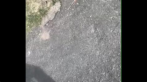 Hetero Mamando Videos Xvideos