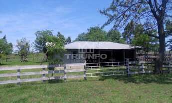 Fazenda Rural Em Quara Rs Municipio De Quara Mgf Im Veis