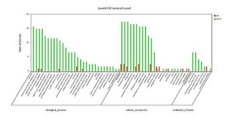 1 Gene Ontology Go Enrichment Of The Differential Expressed Genes Go Download Scientific