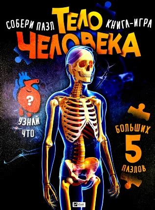 Книга «Тело человека. Книга-игра» — Мария Жученко | Купити на RIDMI