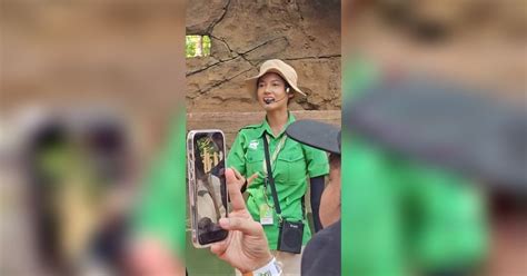 Viral Petugas Kebun Binatang Di Solo Parasnya Disebut Mirip Pevita