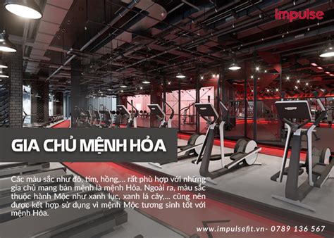 Setup Phòng Gym Tại Nhà Hợp Phong Thủy được ưa Chuộng Nhất Năm 2020 Titanfitness