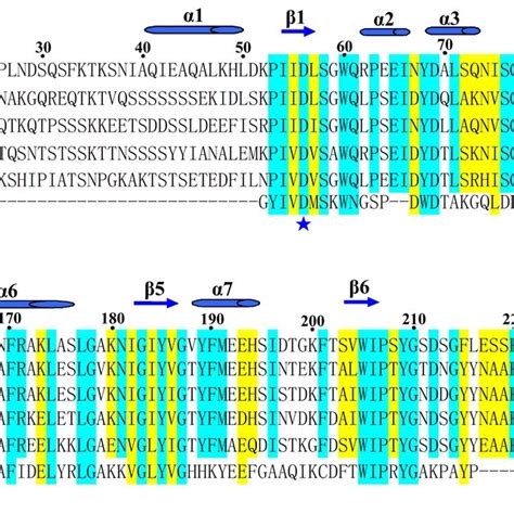 Amino Acid Sequence Alignment Comparing Homologs Of S Pneumoniae