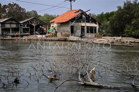 Masyarakat Pesisir Terancam Pemanasan Global Antara Foto