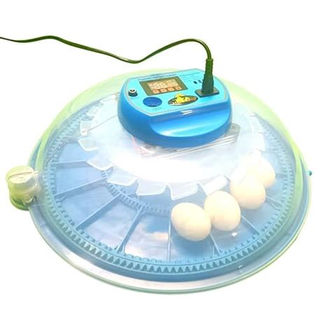 Hatchpro 18 Eggs Fully Automatic Egg Incubator For Egg Hatching Blue