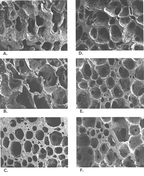 Figure 1 From Pore Structure Of Superporous Hydrogels Semantic Scholar