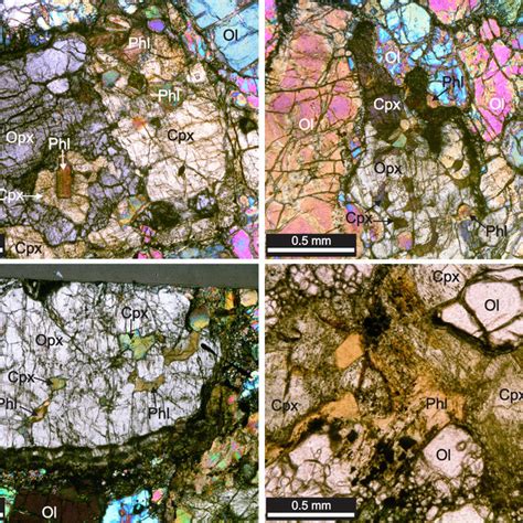 Transmitted Light Photomicrographs Of Representative Textures In The