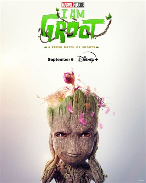 JE SAPPELLE GROOT Saison 2 Première bande annonce Gaak