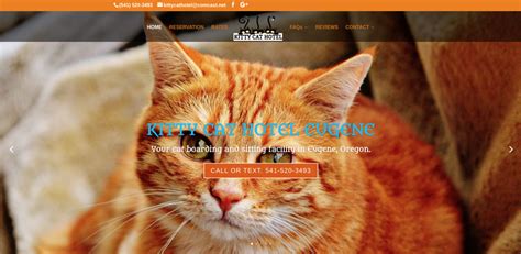 Cat Boarding House in Eugene, Oregon - Business Directory in Eugene, OR ...