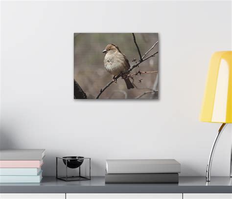 Adorable Little Bird Canvas Wall Art Bird Photo Print Nature Home Decor Cute Nursery Art ...