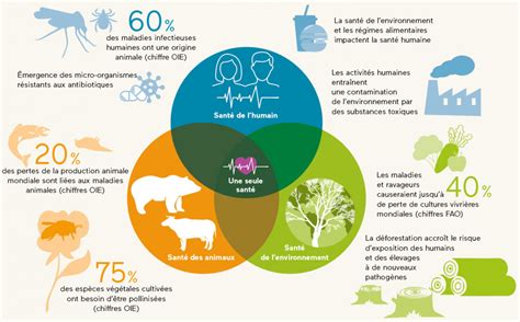 Le Concept De One Health L Information Dentaire