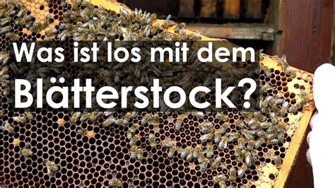 Hilfe Was Ist Mit Dem Bl Tterstock Los Bienen In Der