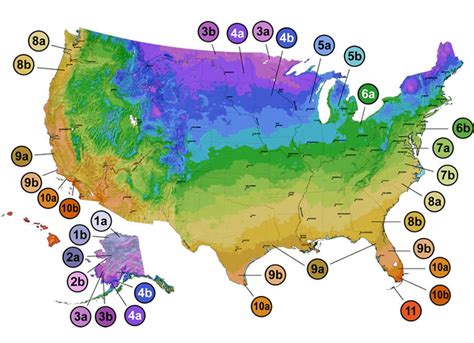 Usda Gardening Zones By Zip Code Fasci Garden